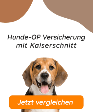 Hundeopversicherung mit Kaiserschnitt