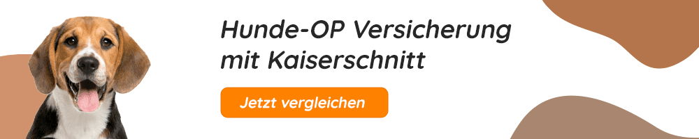 Hundeopversicherung mit Kaiserschnitt