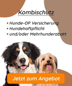 Hunde-OP-Versicherung mit Kaiserschnitt Kombischutz