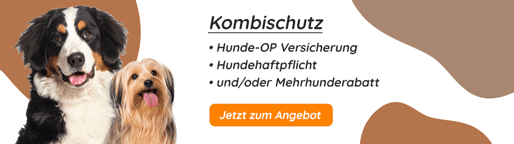 Hunde-OP-Versicherung mit Kaiserschnitt Kombischutz