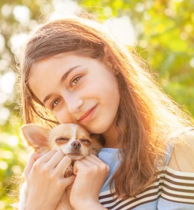 Chihuahua Hunde-OP-Versicherung worauf achten