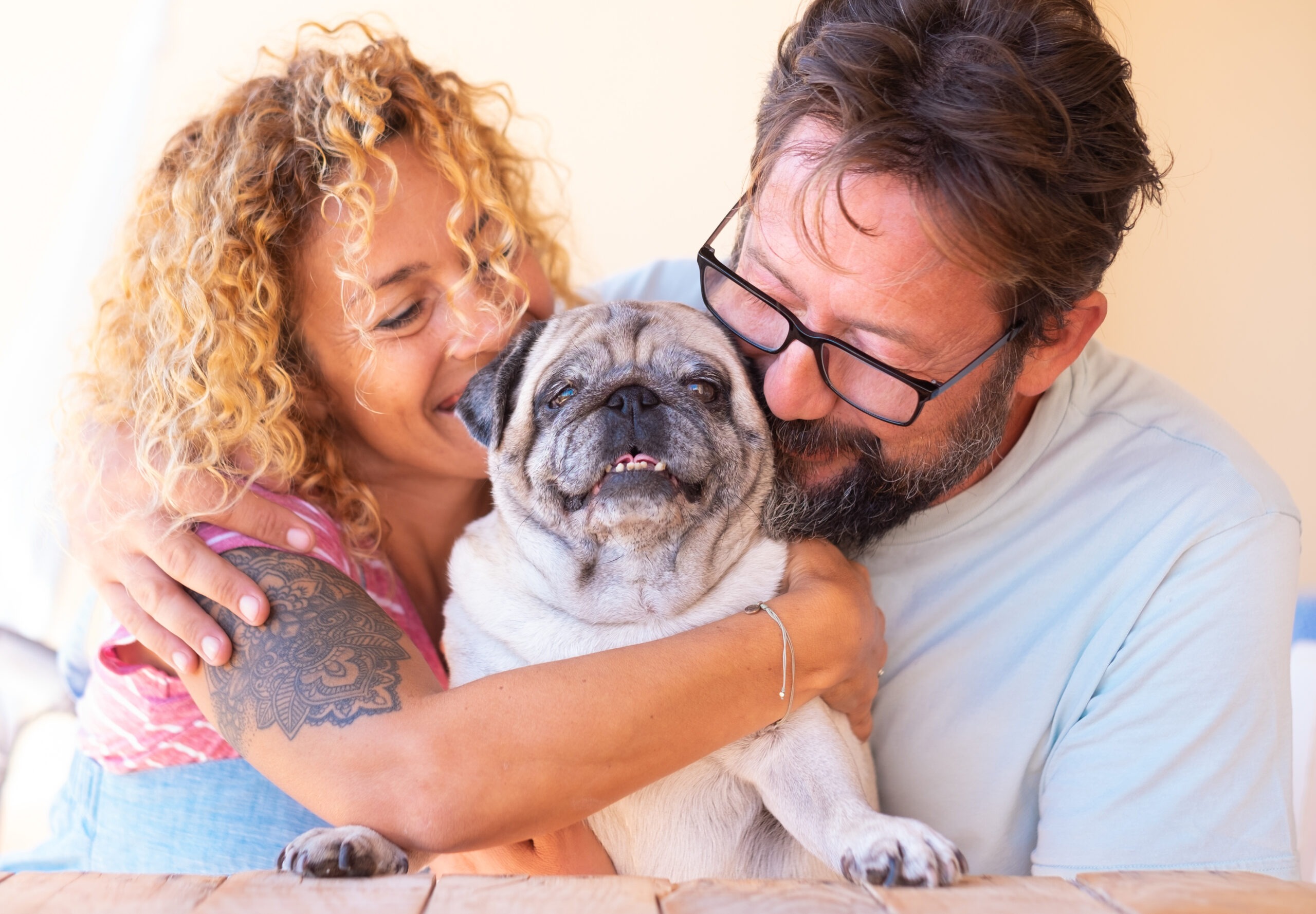 Hunde OP Versicherung mit Kaiserschnitt für Mops