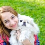 Hunde OP Versicherung mit Kaiserschnitt für Pekinesen