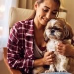 Hunde OP Versicherung mit Kaiserschnitt für Shih Tzu