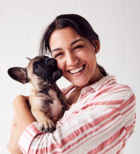 Hundeopversicherung Französische Bulldogge