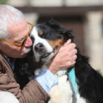 Hunde-OP Versicherung mit Kaiserschnitt für ältere Hündinnen