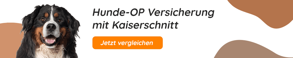 Hundeopversicherung mit Kaiserschnitt