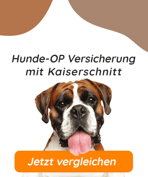 Hundeopversicherung mit Kaiserschnitt