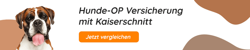 Hundeopversicherung mit Kaiserschnitt