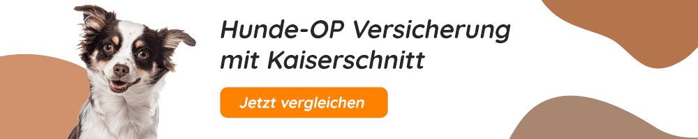 Hundeopversicherung mit Kaiserschnitt