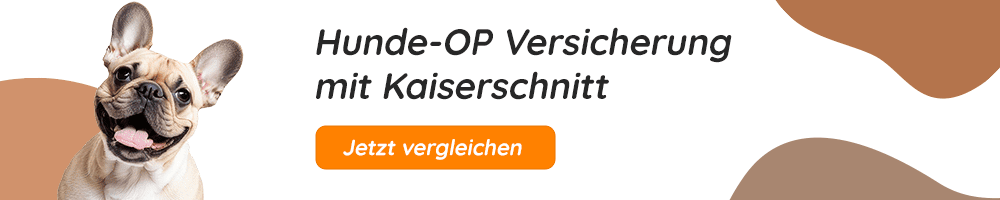 Hundeopversicherung mit Kaiserschnitt