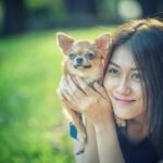 Hunde OP Versicherung mit Kaiserschnitt für Chihuahua