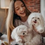 Hunde OP Versicherung mit Kaiserschnitt für Malteser