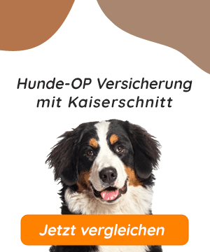 Hundeopversicherung mit Kaiserschnitt