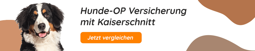 Hundeopversicherung mit Kaiserschnitt