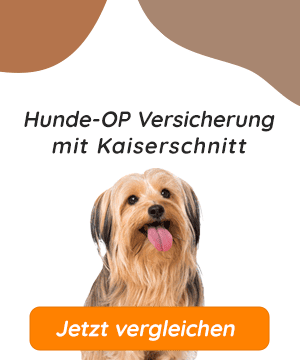 Hundeopversicherung mit Kaiserschnitt