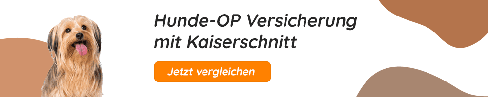 Hundeopversicherung mit Kaiserschnitt