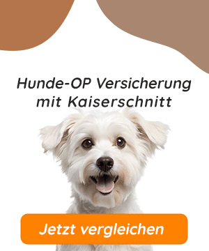 Hundeopversicherung mit Kaiserschnitt