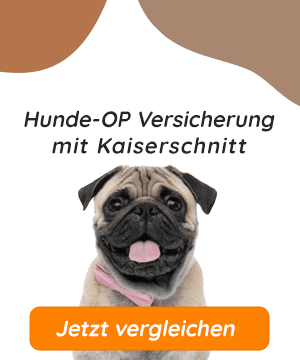 Hundeopversicherung mit Kaiserschnitt