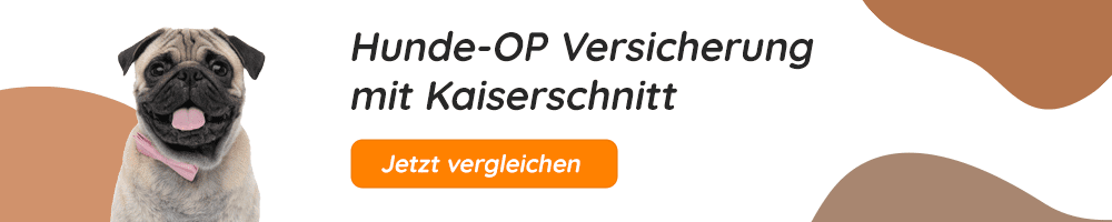 Hundeopversicherung mit Kaiserschnitt