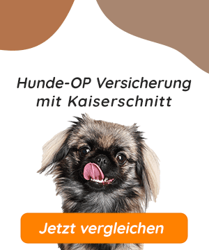 Hundeopversicherung mit Kaiserschnitt