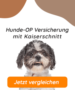 Hundeopversicherung mit Kaiserschnitt