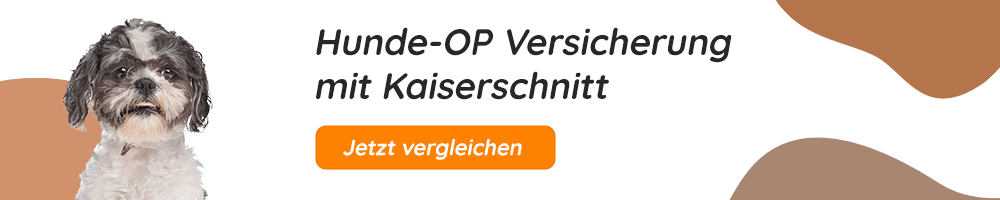 Hundeopversicherung mit Kaiserschnitt