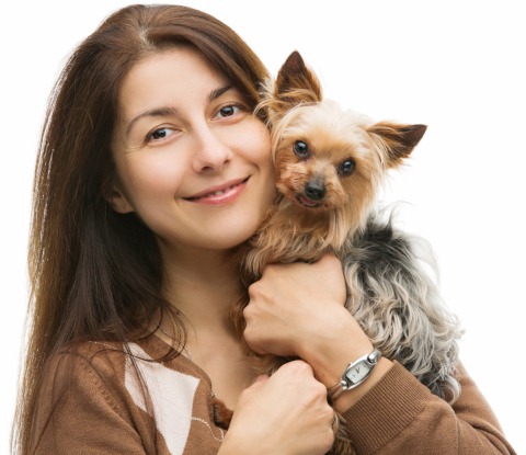 Kaiserschnitt Kosten beim Yorkshire Terrier