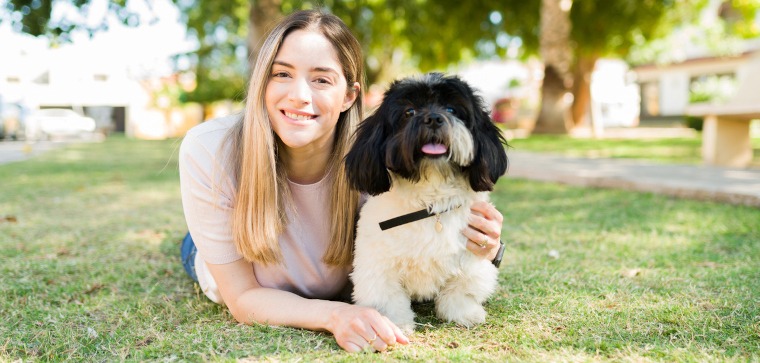 Shih Tzu Kaiserschnitt Hunde-OP-Versicherung Vorteile