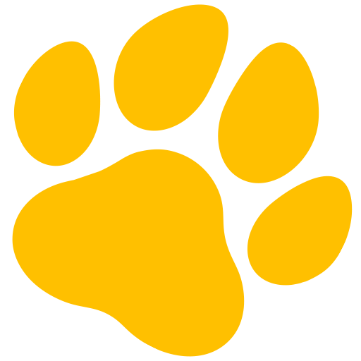 zum Hunde-OP-Versicherung mit Kaiserschnitt Test